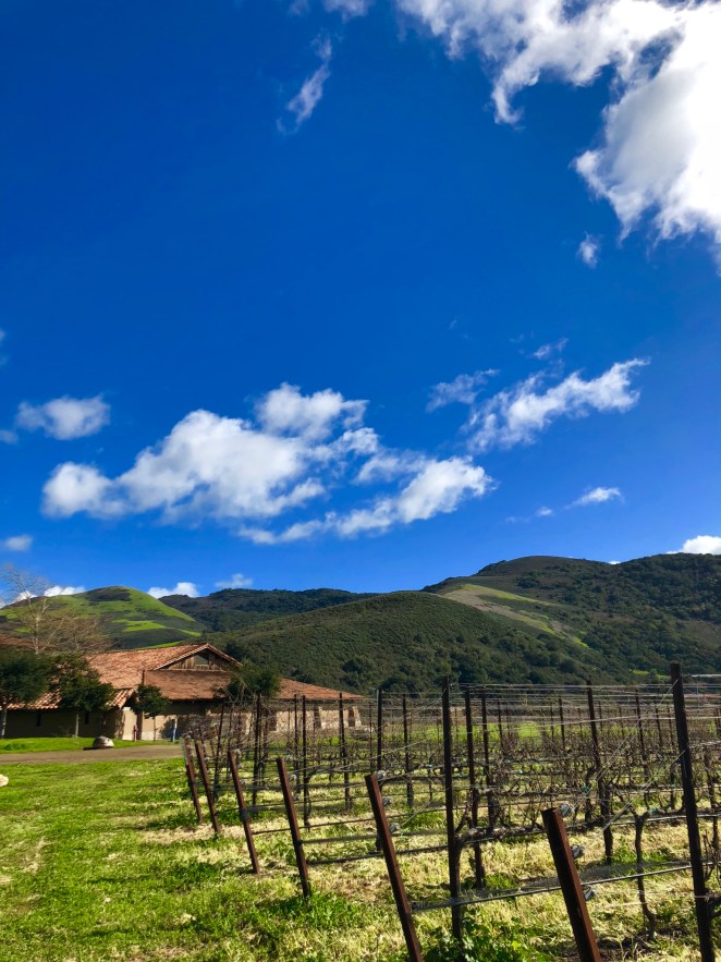 997F2636-0265-475D-B308-9D8F5C7EC64F