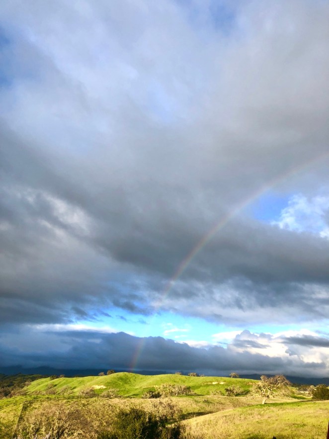 B6D4C85C-6E29-4CB3-9D14-D6F1D40ED37E