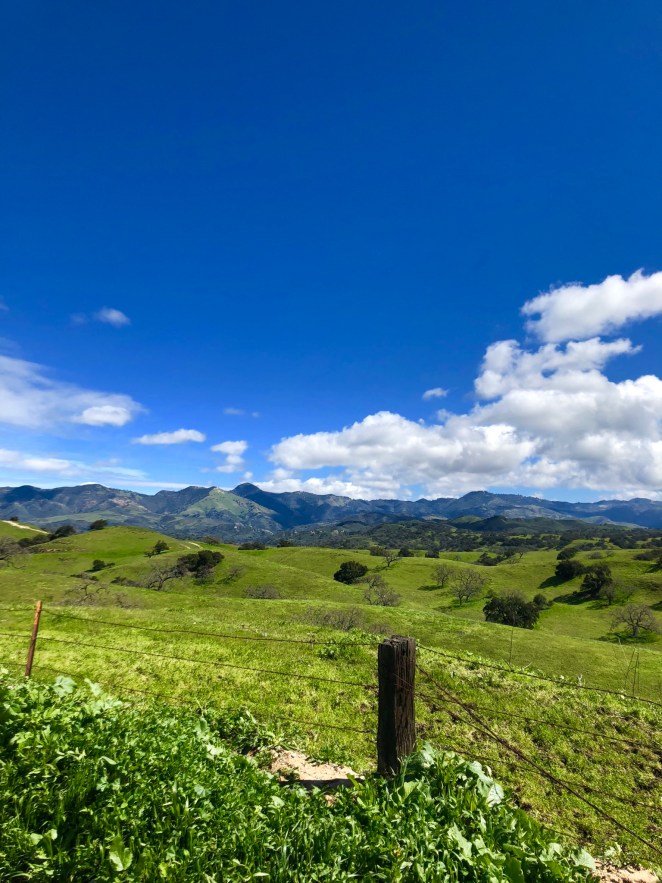 D39F9C57-3563-41A9-B7E4-2FEF2F5AE52B