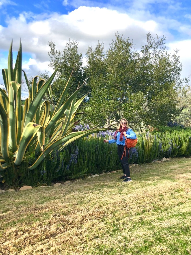 ECE437DF-B354-4636-BBE5-2056CC352A02