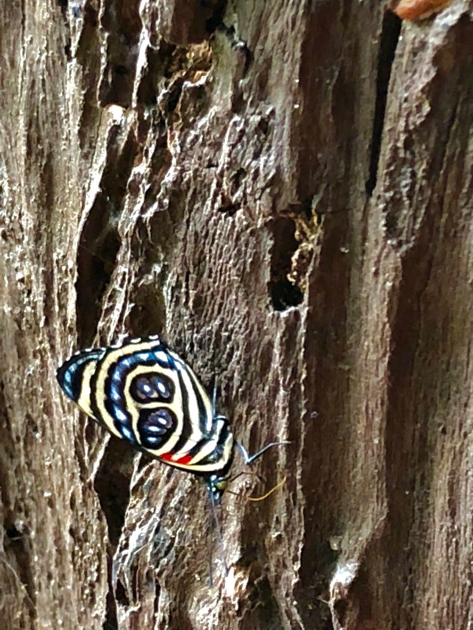 05011618-2FBE-4DE9-A53A-0A6E85F60D17