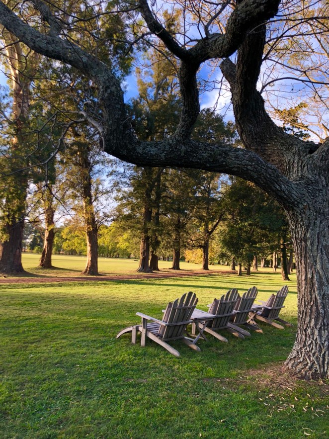 1735E089-04BF-4FB5-AC66-E3A2FE431F54