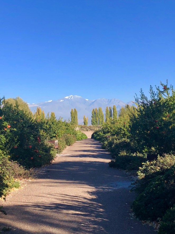 29634B0F-F500-4F5E-B69A-3F3B7D5B0DF0