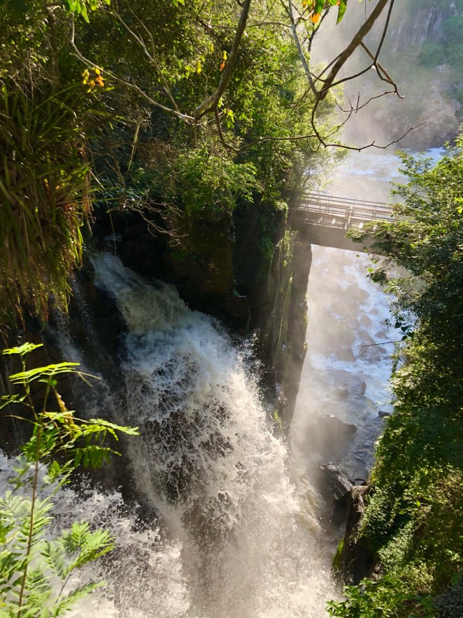 31A4EF5D-8852-431D-A9ED-00FF4C7A8FF6