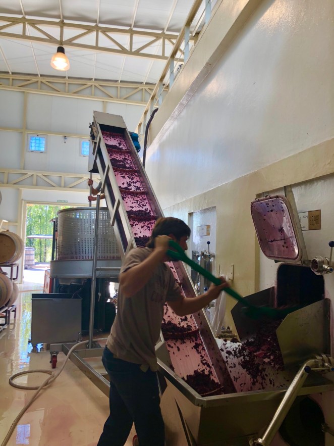 38FB7B3B-448D-4F12-BBB4-C7345275106C