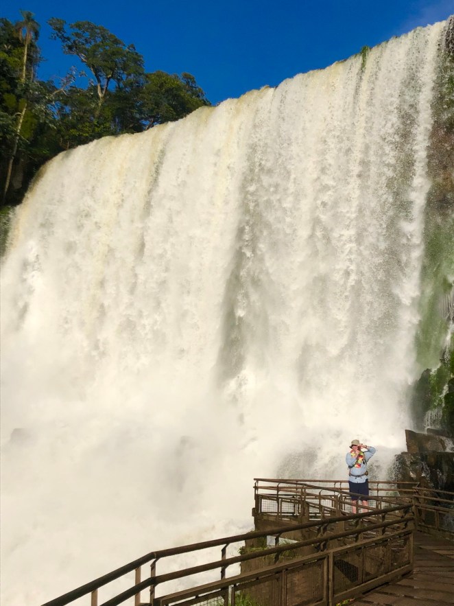 4408CD56-8E4D-40C7-84C4-322C1A74CC72