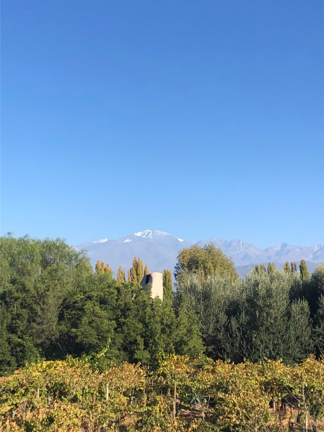 568873D1-9426-4D5B-A3CD-84B77598BD86