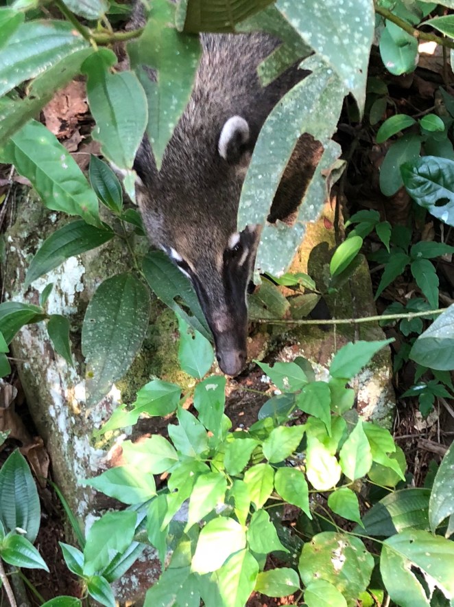 63EDAED6-62C4-42EE-AFF3-EE5C19CAD48E