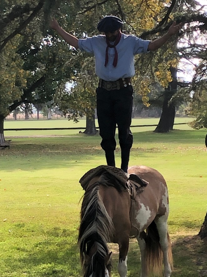 646AF0DE-75B1-41AB-978D-98E688C0E2B8