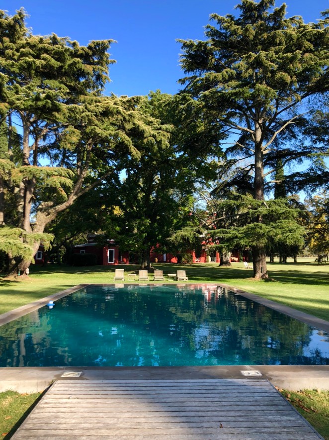 82BF6F40-4019-4EBF-9723-9496580B8182