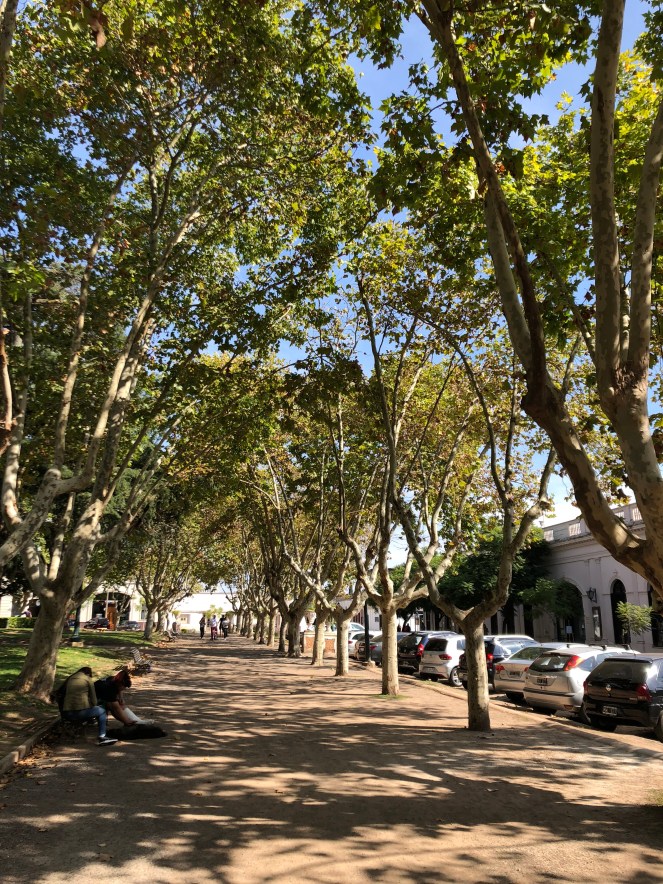 8404E857-ED29-46A0-8168-A9745470A068