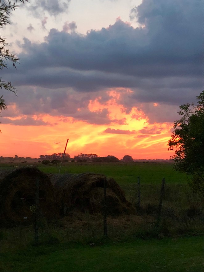 945C9F94-F9BA-4DAD-8B7B-99DE97DFE3E7