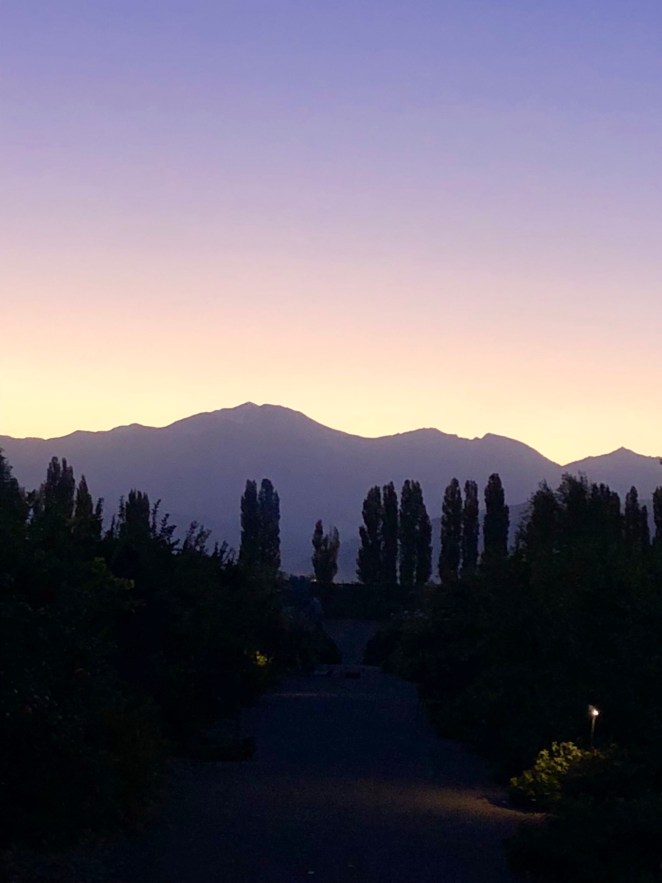 98C6029B-722B-4387-B357-93C793FC97E9