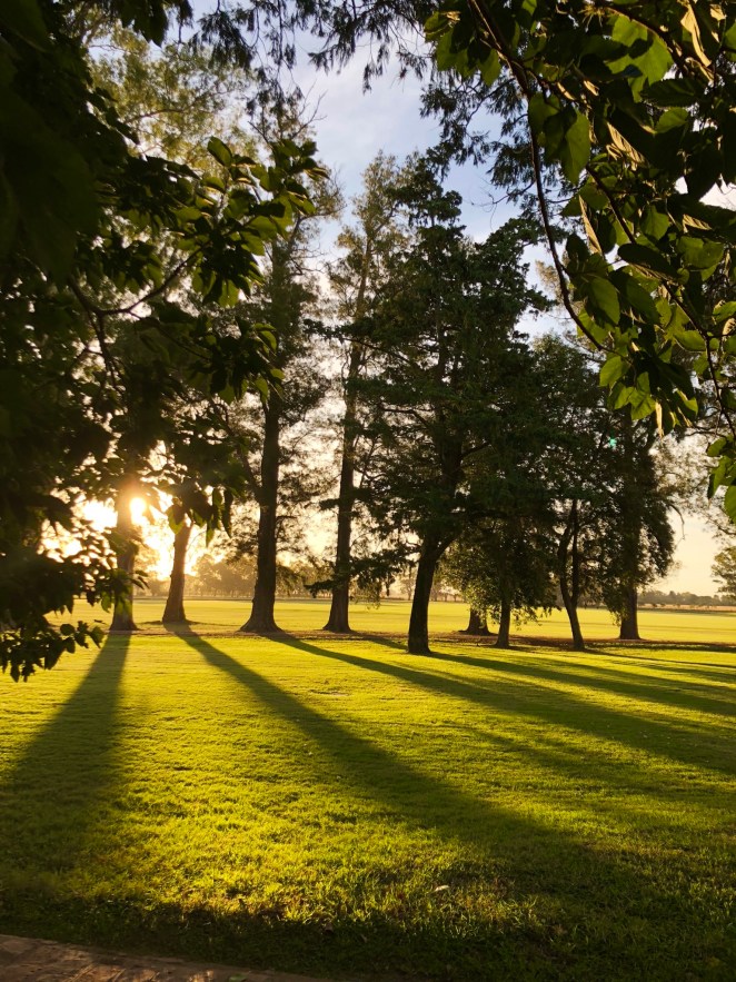 A48AE8D7-AD7F-45B9-A911-D191C4B0EEC0