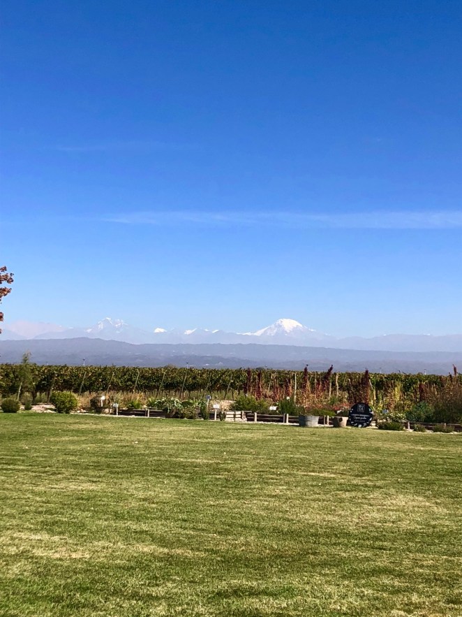 B5F8B1A8-BC9E-4F2E-9D5D-2FBEFC87F296