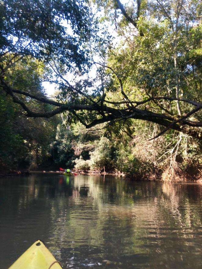 B79F9700-733C-45C3-96FB-4FD3E63FF6A1