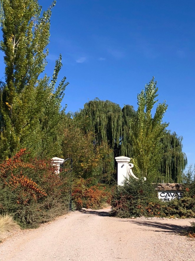 BD402C4A-3241-40D0-9E83-ACA2BF9EEB48