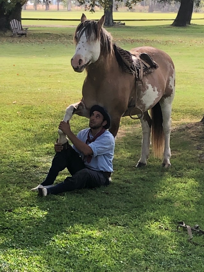 CFB8747E-3DA7-40F2-923D-750C837B1A4B