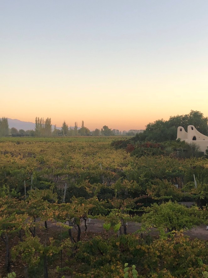 E513A107-EDAC-482D-8B66-99D065BEA205