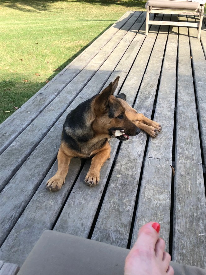 F5BC06C6-B872-4BA2-AC09-B61E32971D63