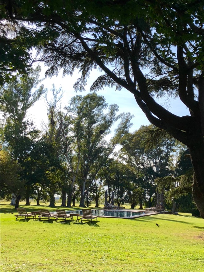 FDFE7A43-E4C9-4411-A8D7-DB2D20544ACE