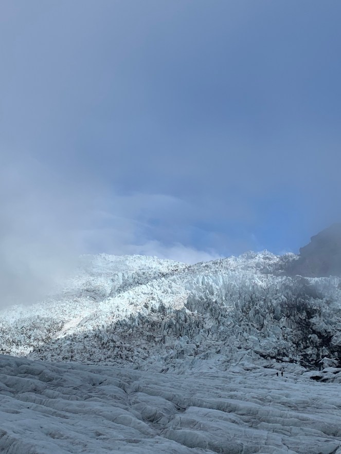 06E1C25E-D162-491E-8F49-4C5C6EF872F1