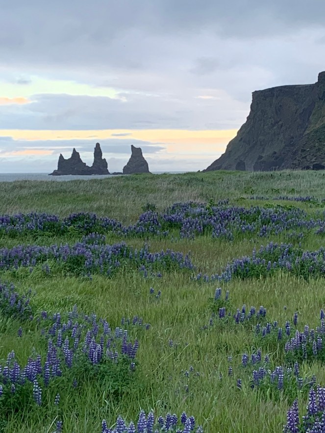 589E91D7-24F2-4BD3-B86F-240A35C89F16