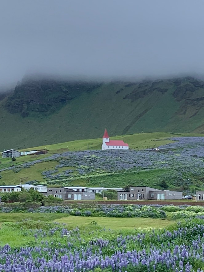 62577DF0-E67F-4B78-8D08-DB9ADDA45660