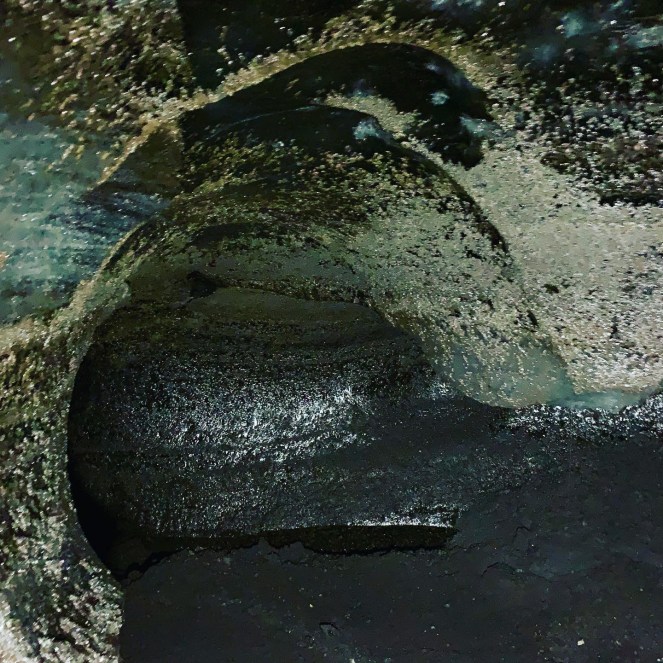 7BABD6F8-69D5-40F1-83A1-F6ED48C54BE9