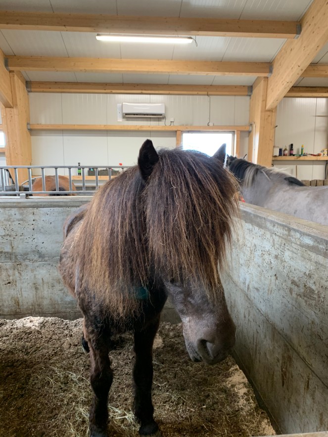 E5339554-DEFC-412D-85F2-00A75CA559C6