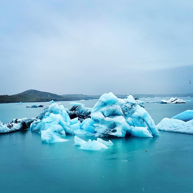 ED81D0CE-6D6B-425D-B03C-999DE68F6347