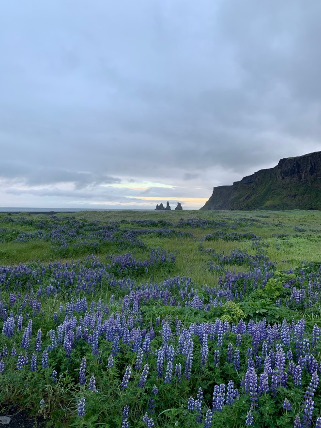 F870681E-DBCA-450C-A6B5-C03AFE72EF26