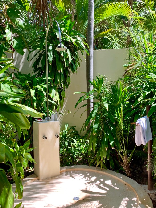 A63145C4-F58E-4427-8D06-57DAF61A5192