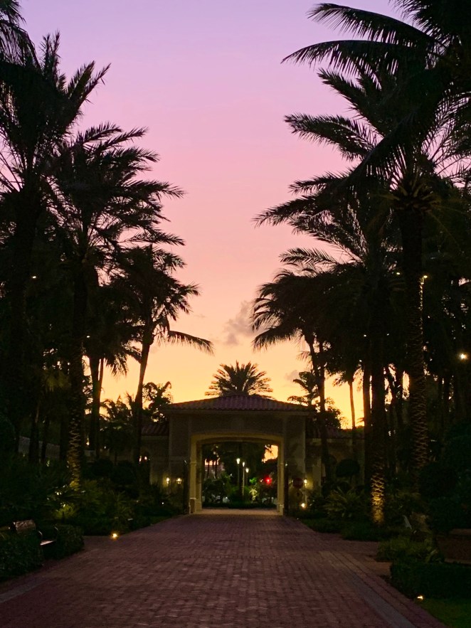 C7BDFEE9-D5E2-42BC-91CB-5605E0557E03