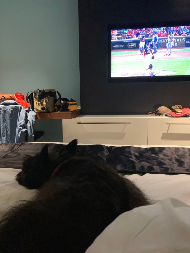 1DC057D6-730A-423B-8FF2-F966A87A38C2