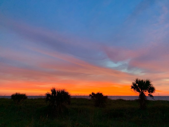 4FFE6AF0-E804-4C22-9C97-087DDBEA49A8