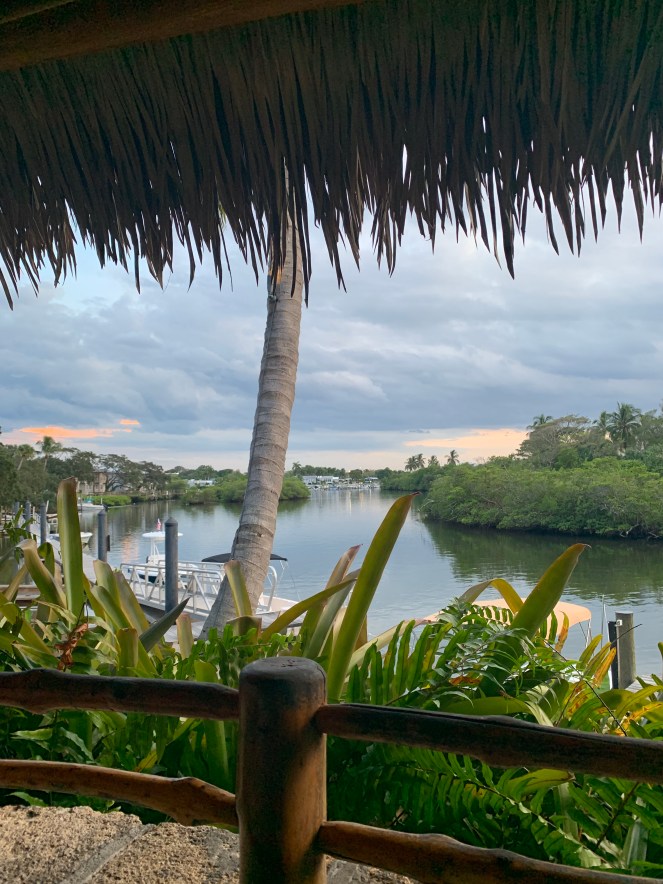 B78F8A37-9E13-4F19-988F-69BC29C2C27C