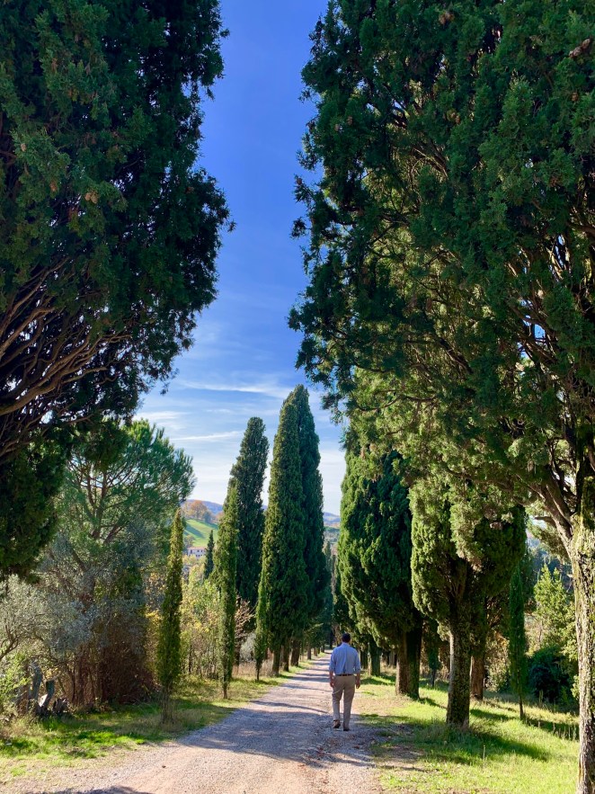 086B59AD-36DB-4AF8-84F7-9007DB91B68F