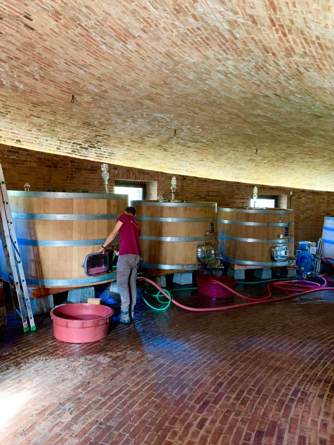 86AC4D49-82E3-48EC-8DBF-D5451A87F8FA