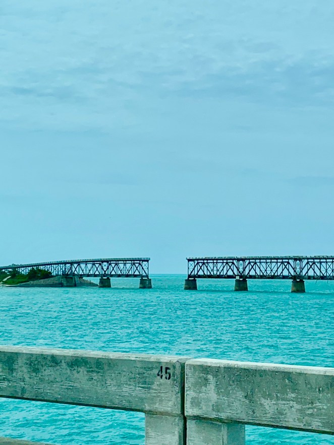 15A65F5E-5017-455D-BF42-B4042AA38234