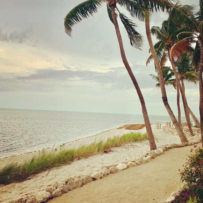 C70D5AA7-6542-4D90-B5FC-A6C069CA3A17