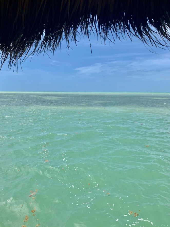 C86CAD23-4D5F-4F60-A491-0CC5874B52DA