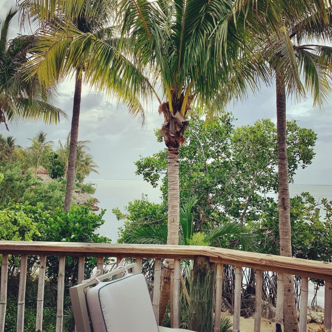 D6FF71E1-02D2-4D2D-8F15-448F523E611A